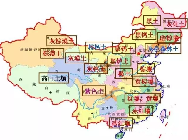 20200328151023_58979 78m威九国际(集团)中国区有限公司-BinG百科