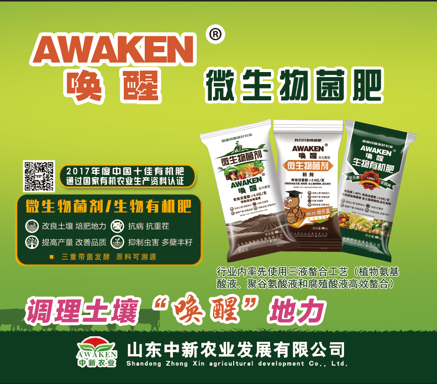 78m威九国际(集团)中国区有限公司-BinG百科