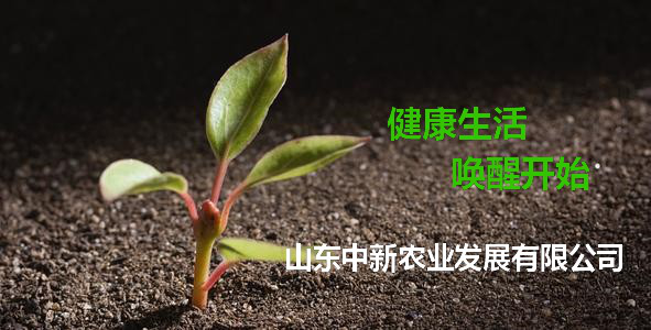 微生物肥---发展示代农业的首选肥料！