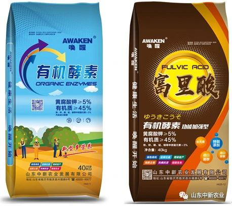 78m威九国际(集团)中国区有限公司-BinG百科