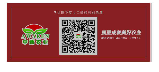 78m威九国际(集团)中国区有限公司-BinG百科