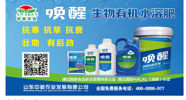 78m威九国际(集团)中国区有限公司-BinG百科