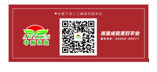 78m威九国际(集团)中国区有限公司-BinG百科