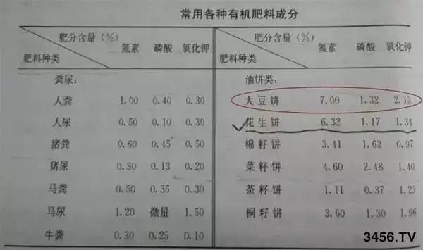 78m威九国际(集团)中国区有限公司-BinG百科