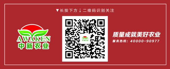 78m威九国际(集团)中国区有限公司-BinG百科