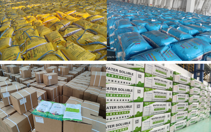 78m威九国际(集团)中国区有限公司-BinG百科