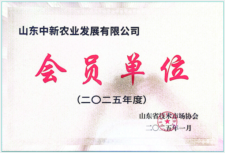 78m威九国际(集团)中国区有限公司-BinG百科