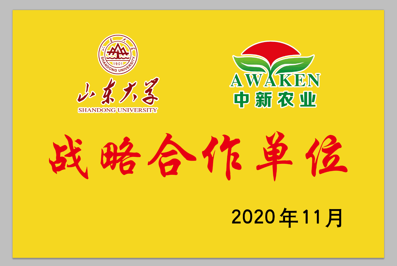 78m威九国际(集团)中国区有限公司-BinG百科