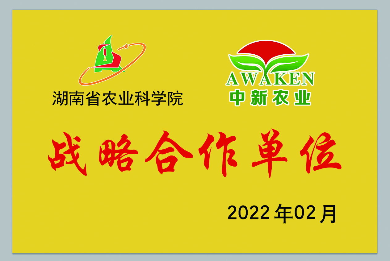78m威九国际(集团)中国区有限公司-BinG百科