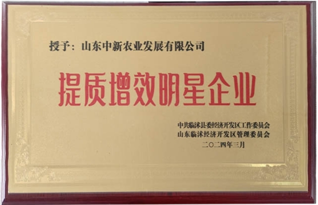 78m威九国际(集团)中国区有限公司-BinG百科